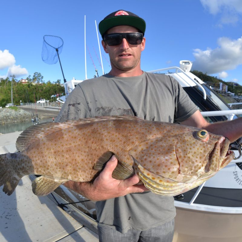 a man posing for the camera holding up the fish he caught with airlie beach fishing charters in airlie beach, queensland