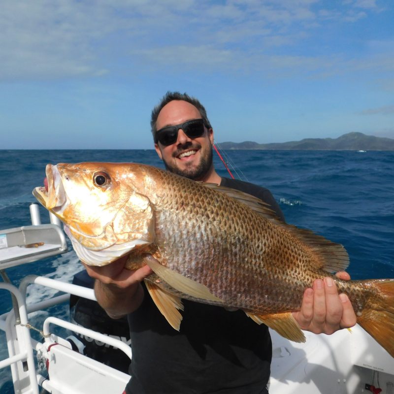 a man posing for the camera holding up the fish he caught with airlie beach fishing charters in airlie beach, queensland