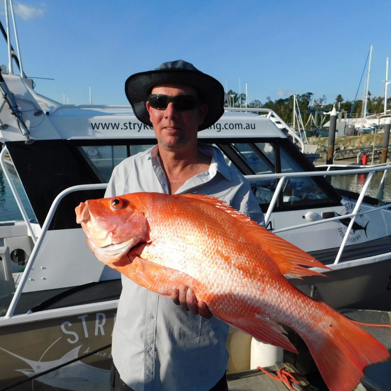 a man posing for the camera holding up the fish he caught with airlie beach fishing charters in airlie beach, queensland