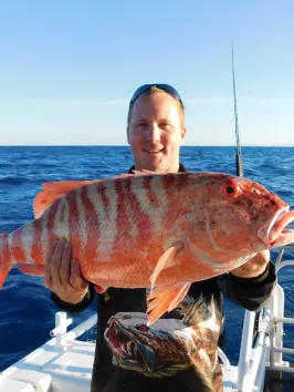 a man posing for the camera holding up the fish he caught with airlie beach fishing charters in airlie beach, queensland
