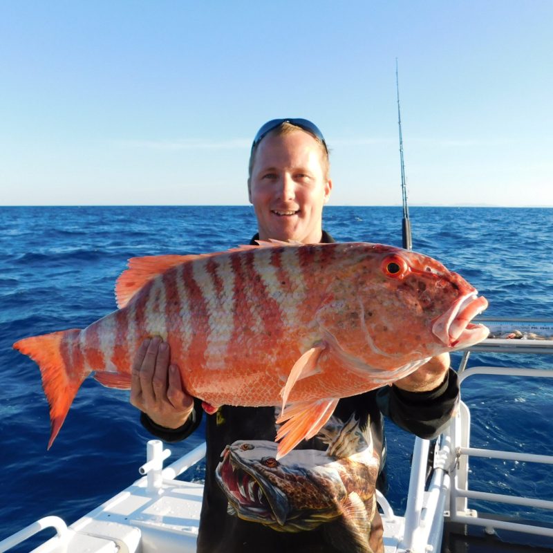 a man posing for the camera holding up the fish he caught with airlie beach fishing charters in airlie beach, queensland