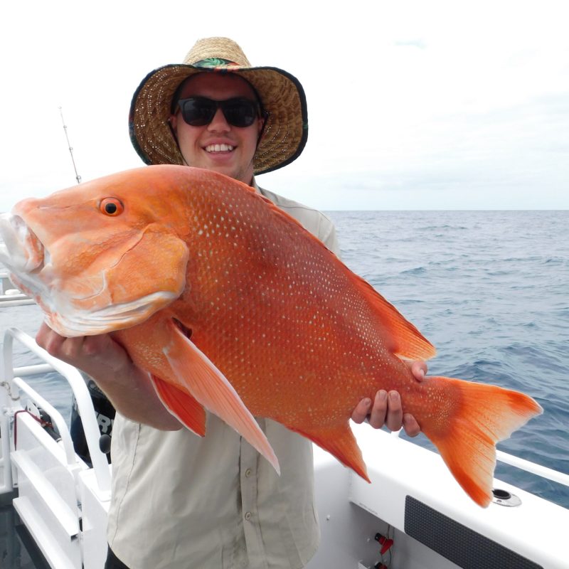 a man posing for the camera holding up the fish he caught with airlie beach fishing charters in airlie beach, queensland