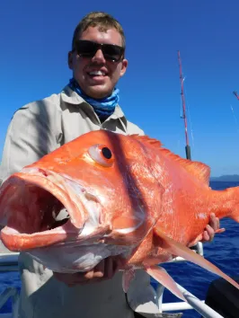 a man posing for the camera holding up the fish he caught with airlie beach fishing charters in airlie beach, queensland