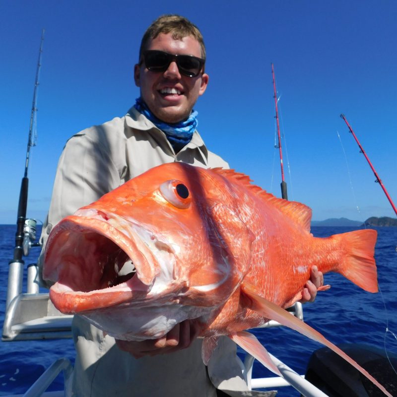 a man posing for the camera holding up the fish he caught with airlie beach fishing charters in airlie beach, queensland