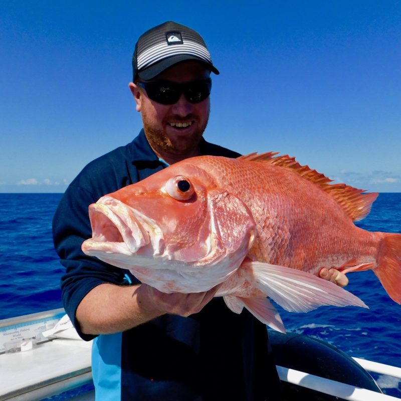 a man posing for the camera holding up the fish he caught with airlie beach fishing charters in airlie beach, queensland
