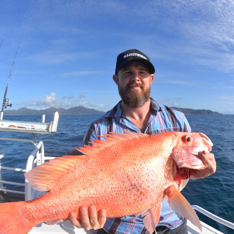 a man posing for the camera holding up the fish he caught with airlie beach fishing charters in airlie beach, queensland