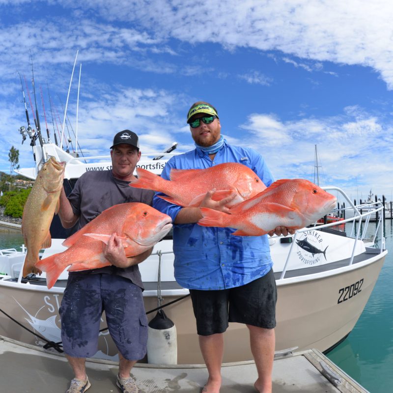 men posing for the camera holding up the fish they caught with airlie beach fishing charters in airlie beach, queensland