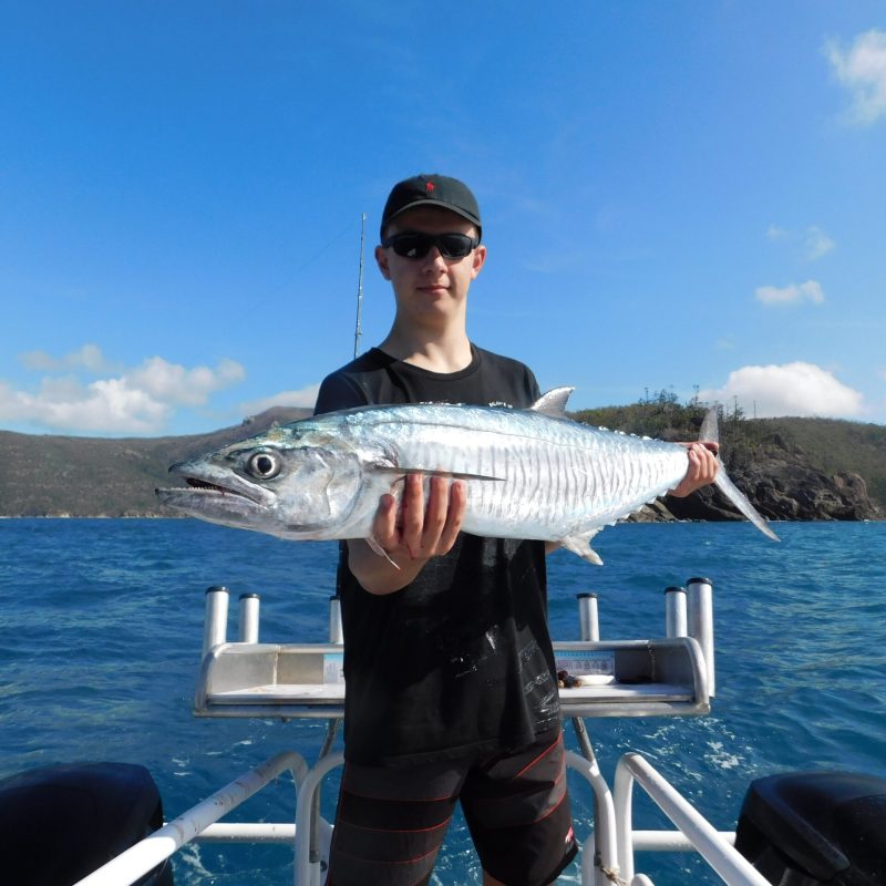 a man posing for the camera holding up the fish he caught with airlie beach fishing charters in airlie beach, queensland