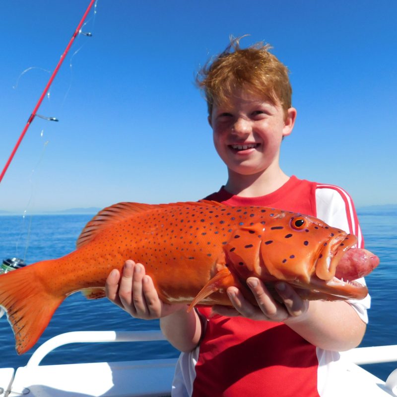 a boy posing for the camera holding up the fish he caught with airlie beach fishing charters in airlie beach, queensland