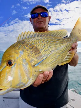 a man posing for the camera holding up the fish he caught with airlie beach fishing charters in airlie beach, queensland