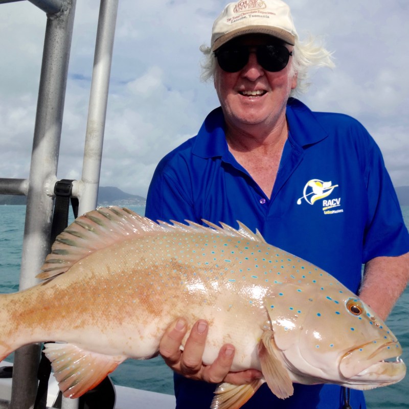 men posing for the camera holding up the fish they caught with airlie beach fishing charters in airlie beach, queensland